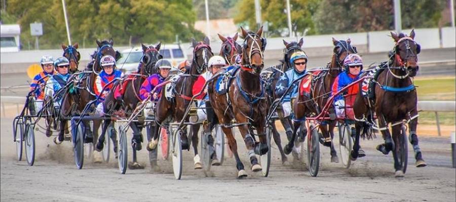 harness racing nsw